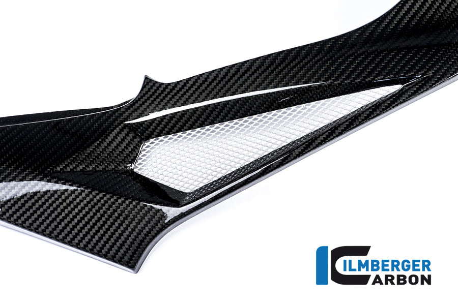 Ilmberger Carbon Right Side Cover On The Tank Racing Carbon