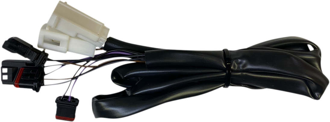 Custom Dynamics Taillight Harness - Low Rider