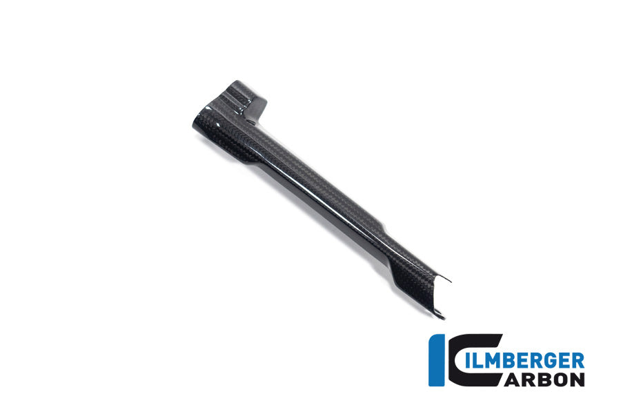 Ilmberger Carbon Brake Tube Cover BMW R 1300 GS - Gloss / Twill