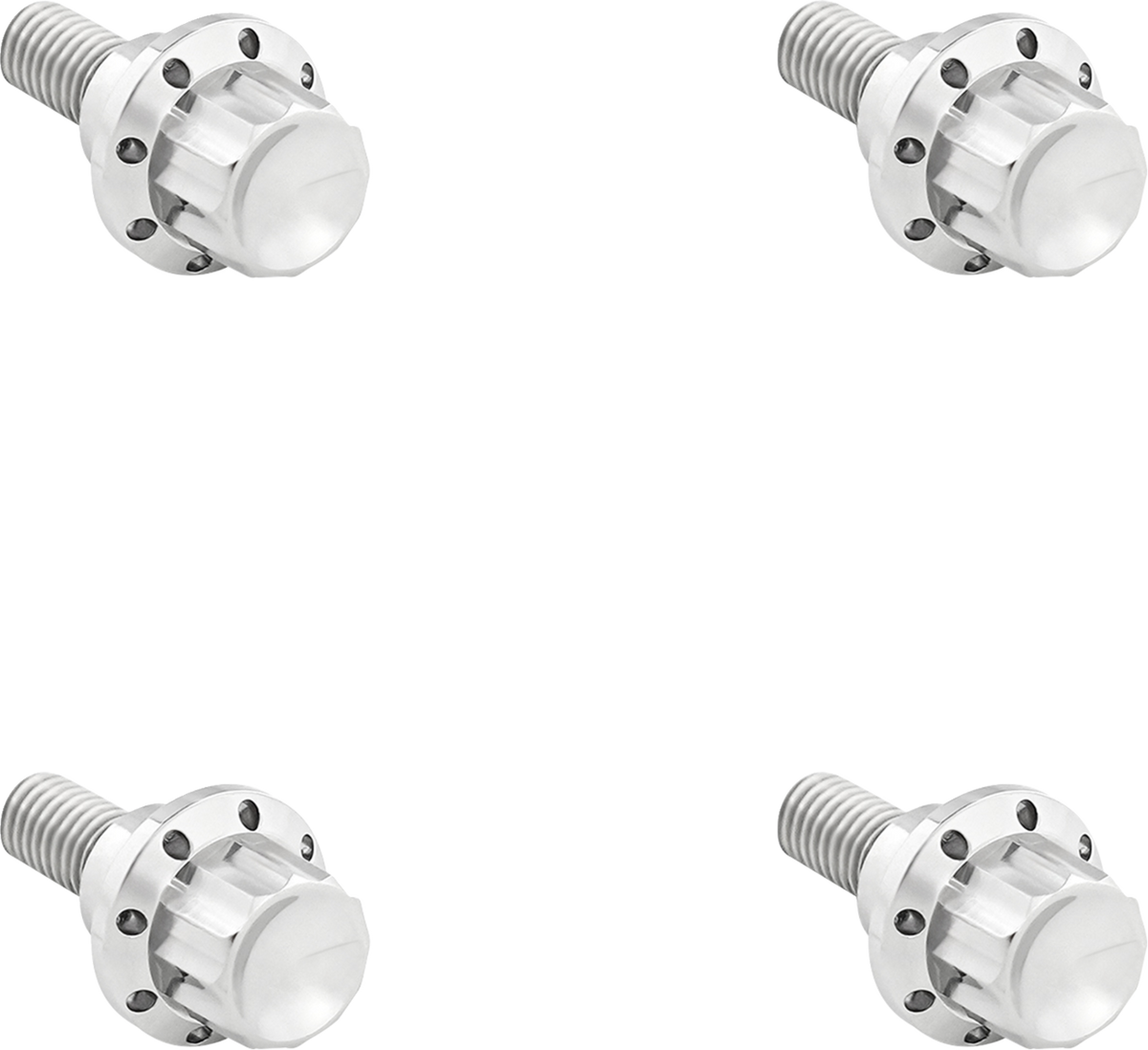 Arlen NESS Windshield Titanium 12-Point Bolt Kit