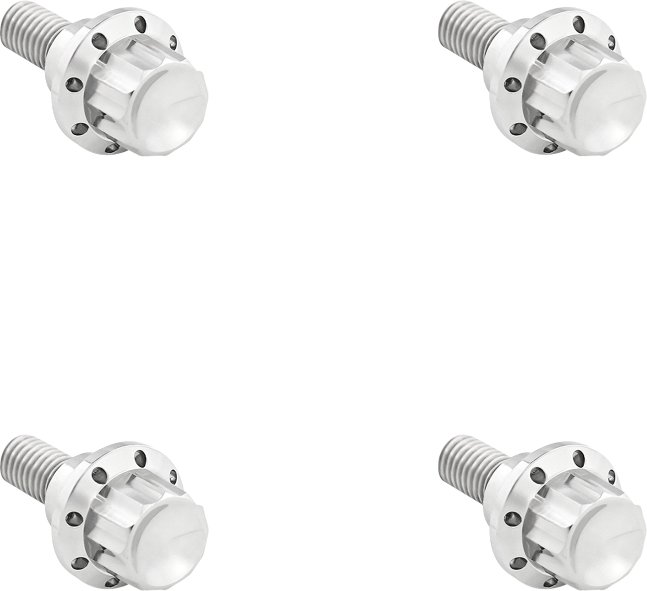 Arlen NESS Windshield Titanium 12-Point Bolt Kit