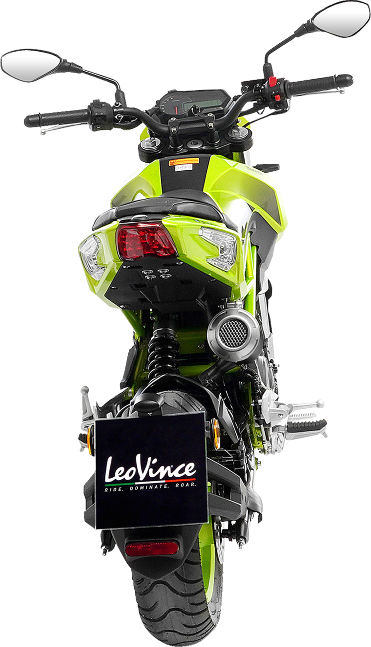 LeoVince LV-10 Slip-On Muffler