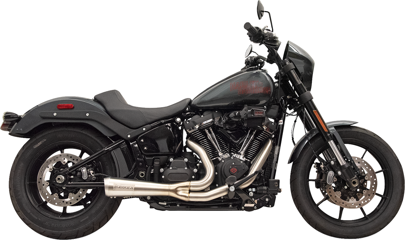 Bassani Xhaust 2-Into-1 The Ripper Exhaust System