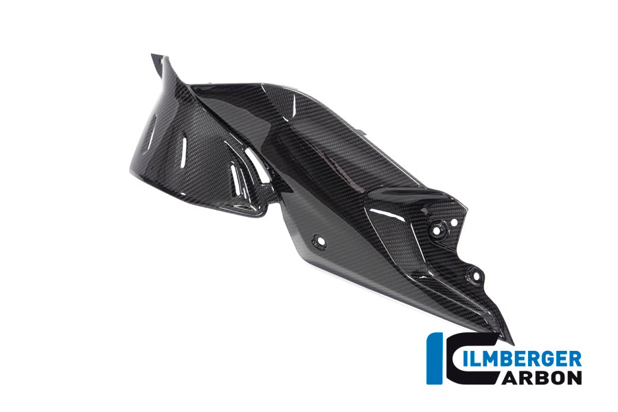 Ilmberger Carbon Side Panel Under The Tank Left BMW R 1250 R