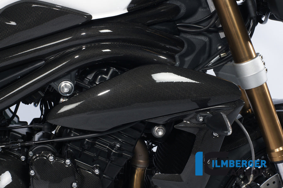 Ilmberger Carbon Side Cover Above The Radiator Right Carbon