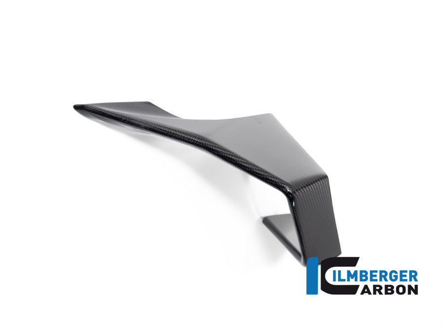 Ilmberger Carbon Winglet Left Side BMW M 1000 RR MY From 2023
