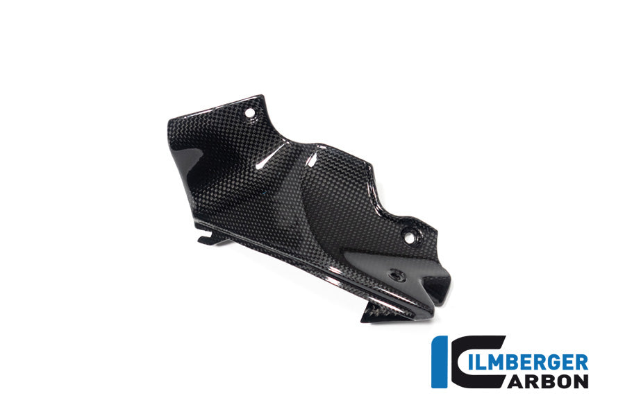 Ilmberger Carbon Air Tube Covers Right Ducati Streetfighter V2 - Gloss