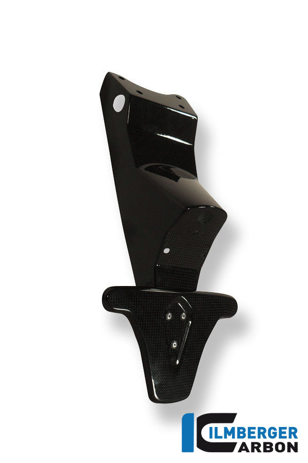 Ilmberger Carbon License Plate Holder (Incl. Taillight Cover With Indicator Mount) Carbon Triumph Speed Triple 1050