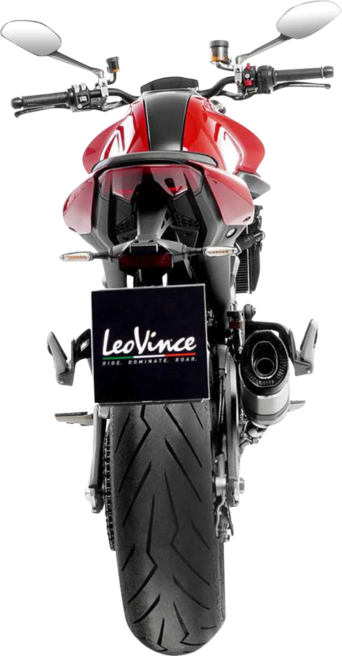 LeoVince LV Pro Slip-On Muffler