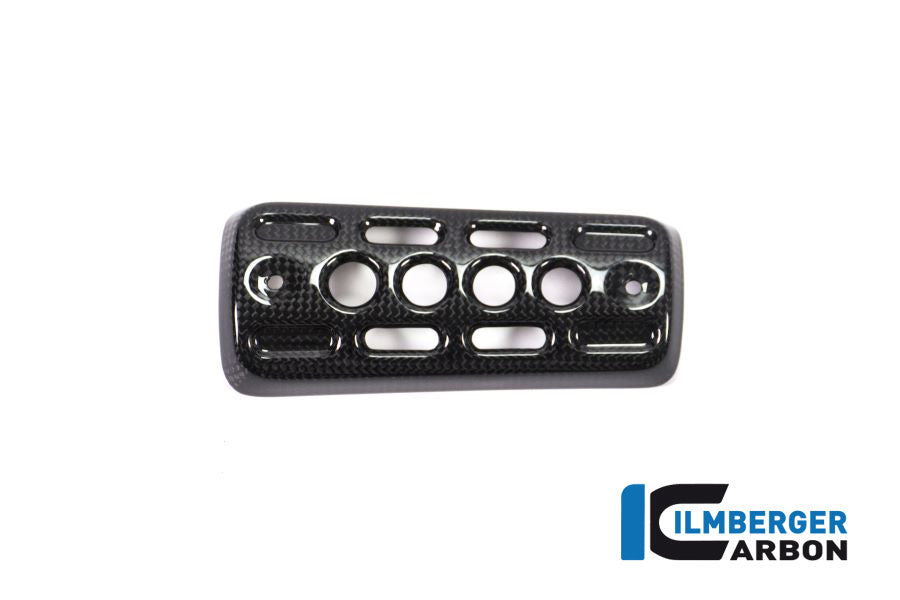 Ilmberger Carbon Silencer Protector Carbon - BMW R nineT Urban GS
