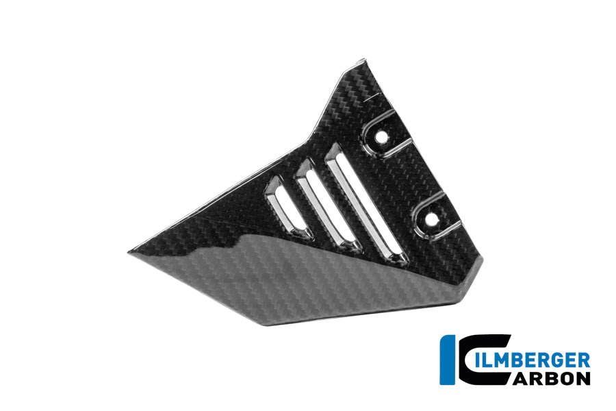 Ilmberger Carbon Subframe Cover Left BMW R 1300 GS Adventure - Gloss / Twill