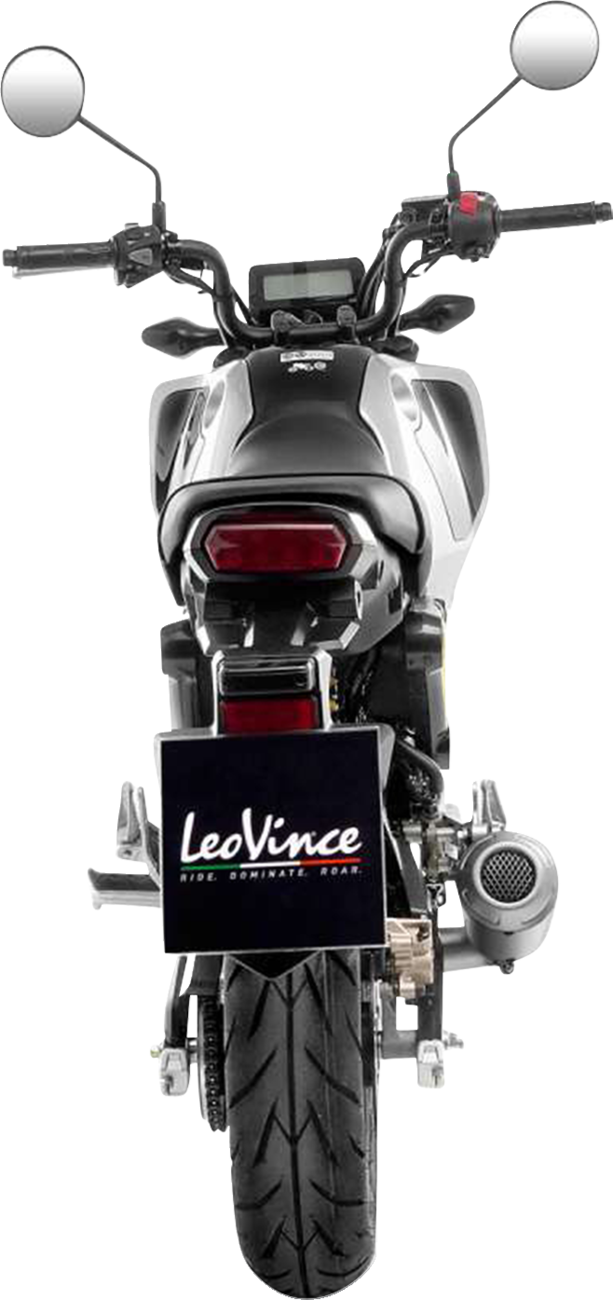 LeoVince LV-10 Exhaust System