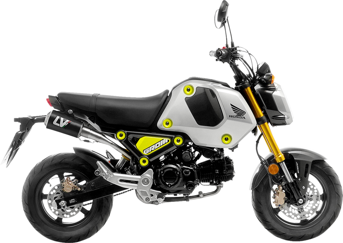 LeoVince LV-10 Exhaust System