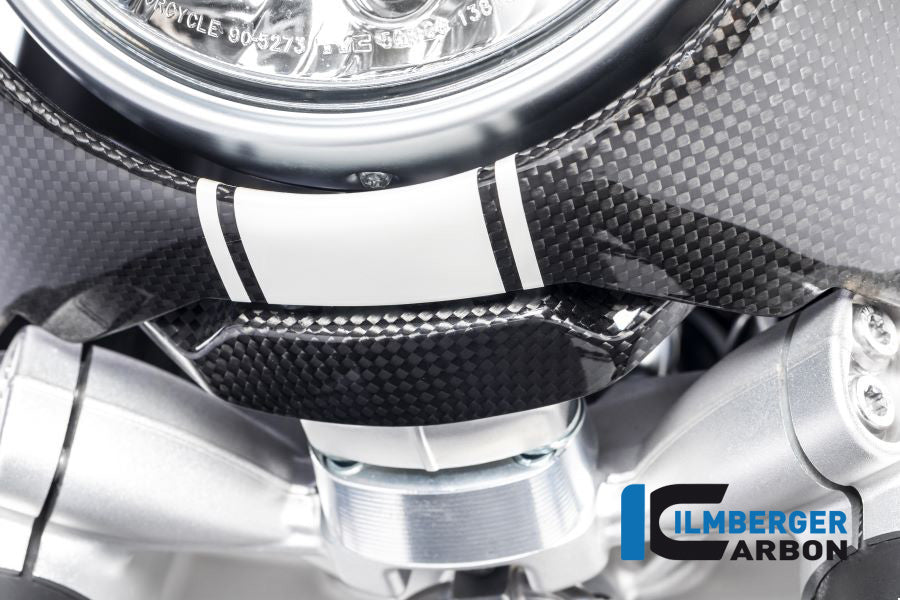 Ilmberger Carbon Fairing Holder BMW R Nine T