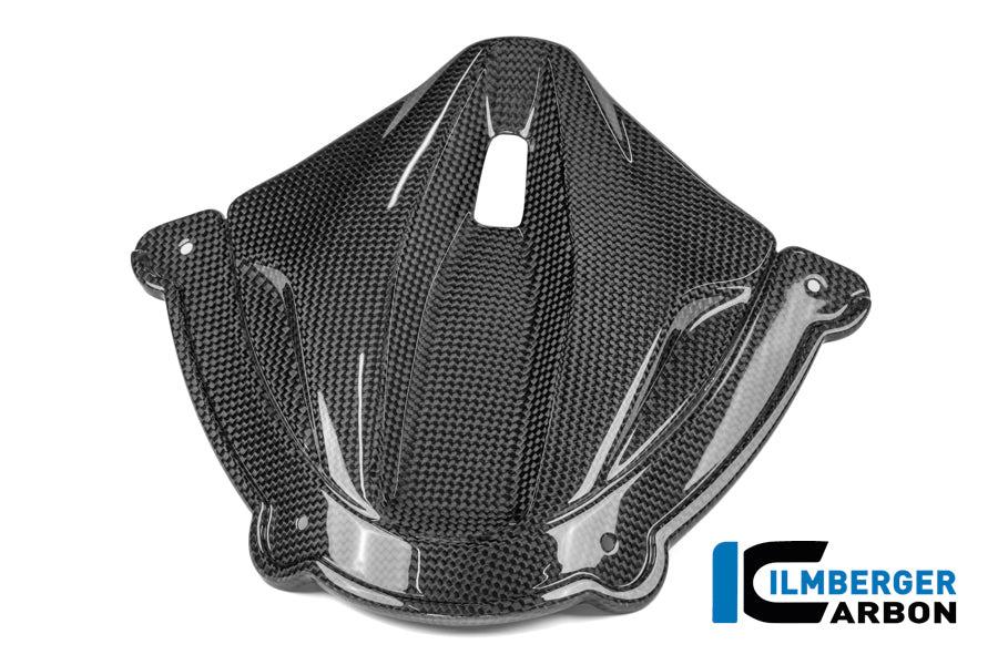 Ilmberger Carbon Instrument Cluster Cover Ducati Panigale V4 2025-2026 - Gloss / Plain