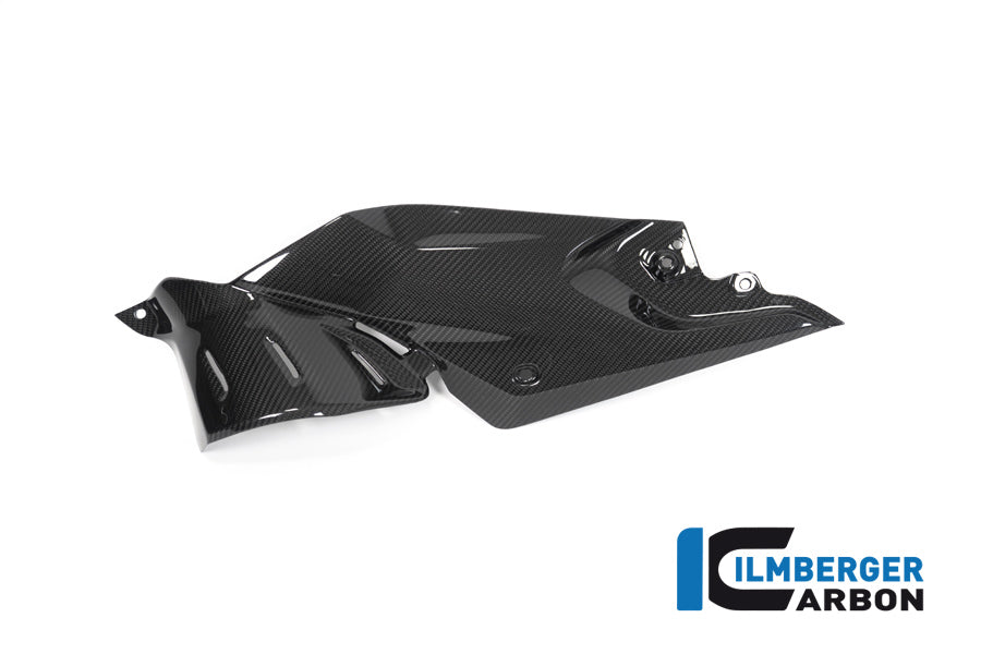 Ilmberger Carbon Side Panel Under The Tank Left BMW R 1250 R
