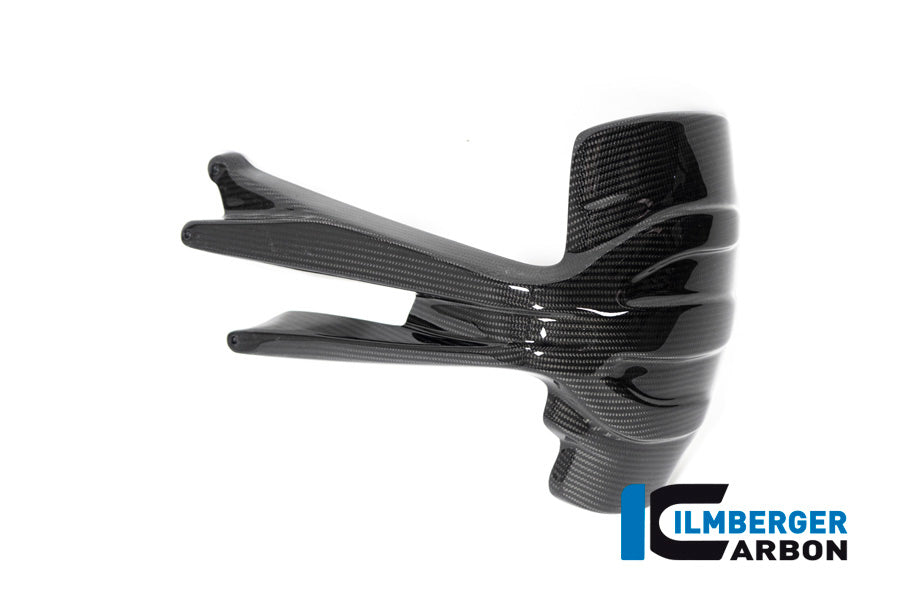 Ilmberger Carbon Rear Splash Guard BMW R 1250 GS From 2019