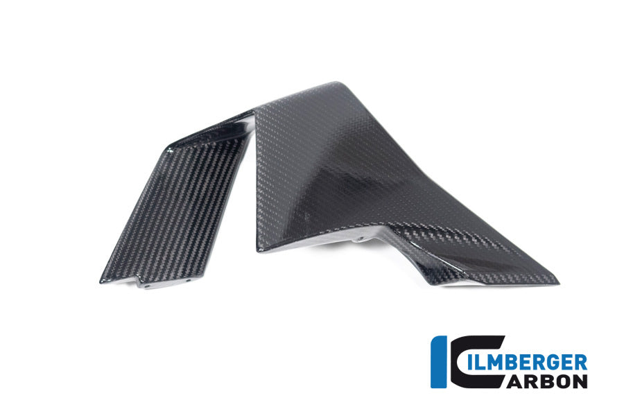 Ilmberger Carbon Winglet Left Side BMW M 1000 RR MY From 2023