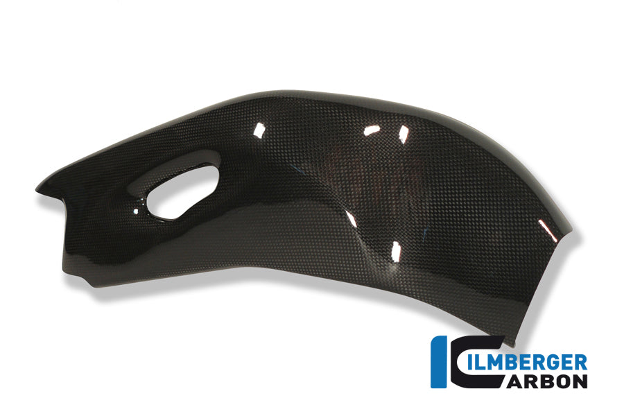 Ilmberger Carbon Swingarm Cover Right Carbon