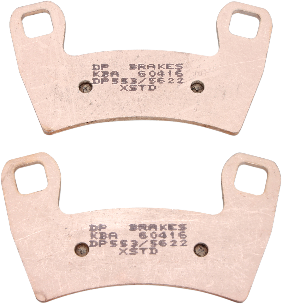 DP Brakes Standard Brake Pads - RZR 900