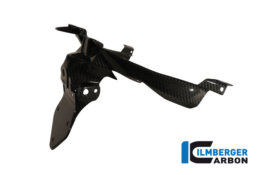 Ilmberger Carbon License Plate Holder Carbon