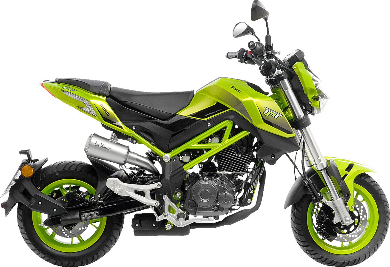 LeoVince LV-10 Slip-On Muffler