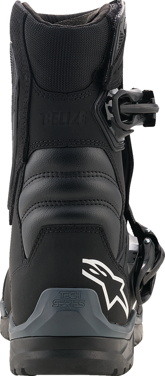 Alpinestars Belize V2 Drystar® Boots