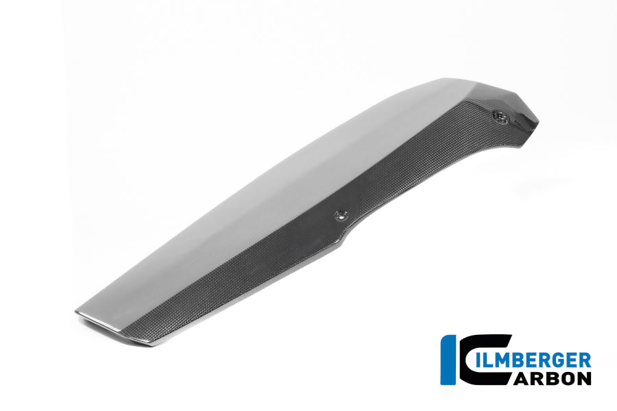 Ilmberger Carbon Motor Spoiler BMW R12 NineT 2024 - Gloss / Twill