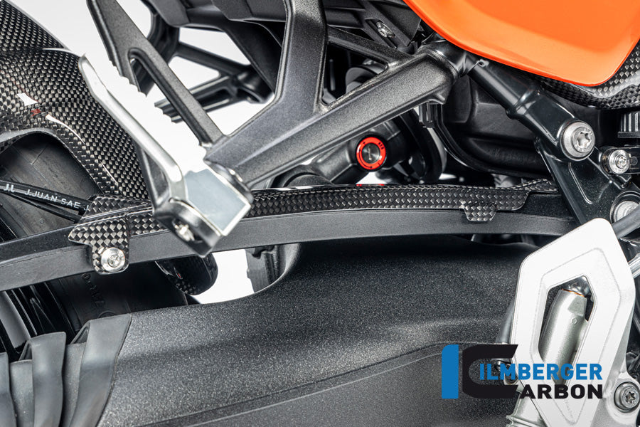 Ilmberger Carbon Brake Line Cover BMW R12 NineT - Gloss / Twill