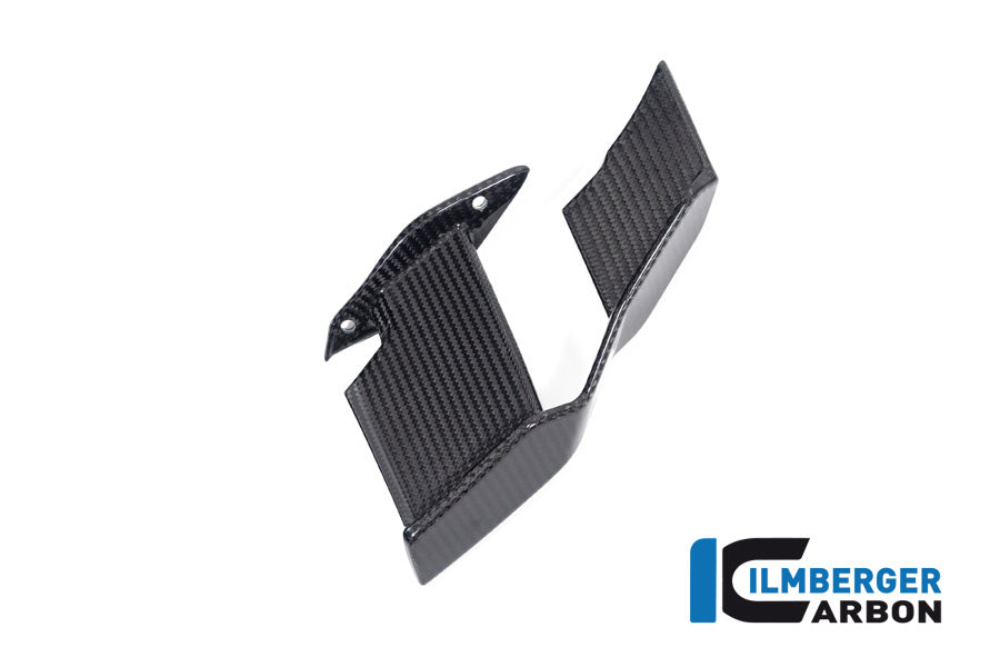 Ilmberger Carbon Winglet Right BMW M1000R 2023