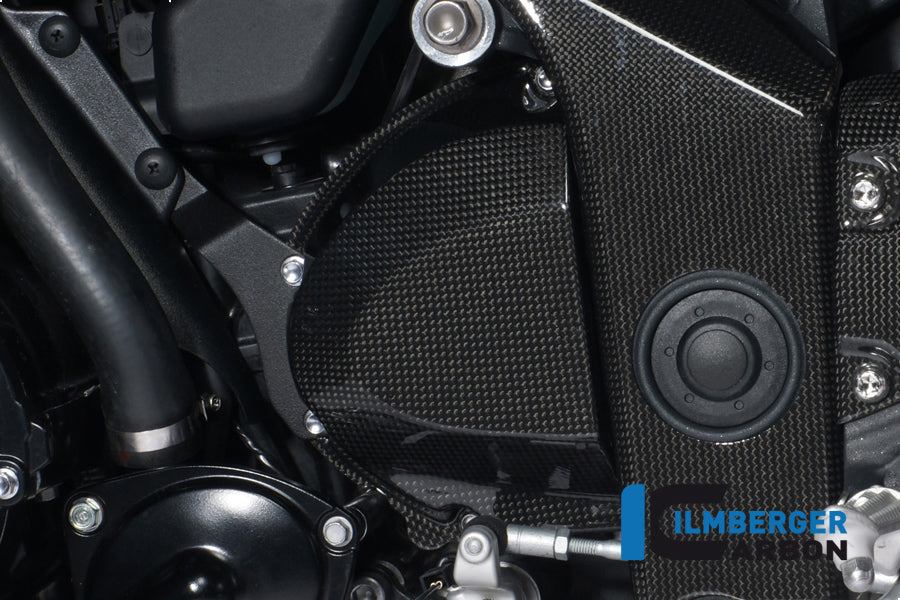 Ilmberger Carbon Sprocket Cover Carbon