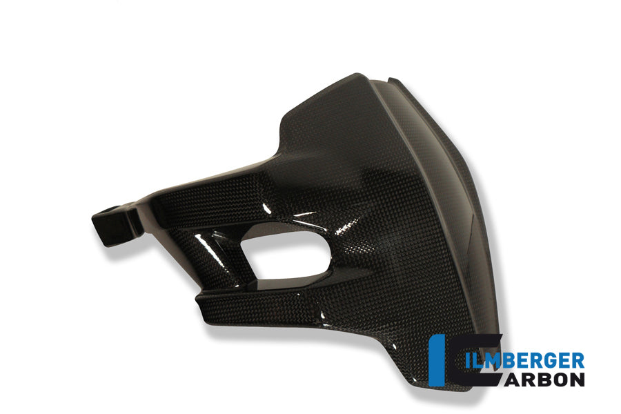 Ilmberger Carbon Rear Splash Guard - Gloss