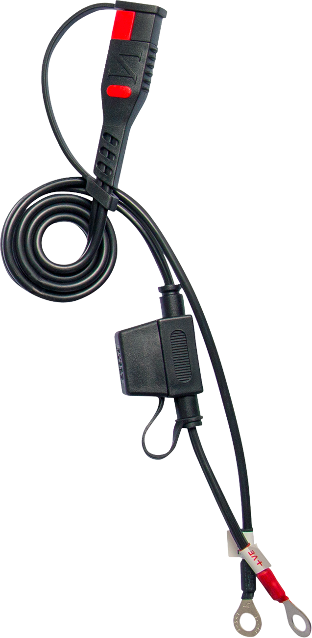 BS Battery Battery Charger/Maintainer - BS 10 - 6 V/12 V - 1 A