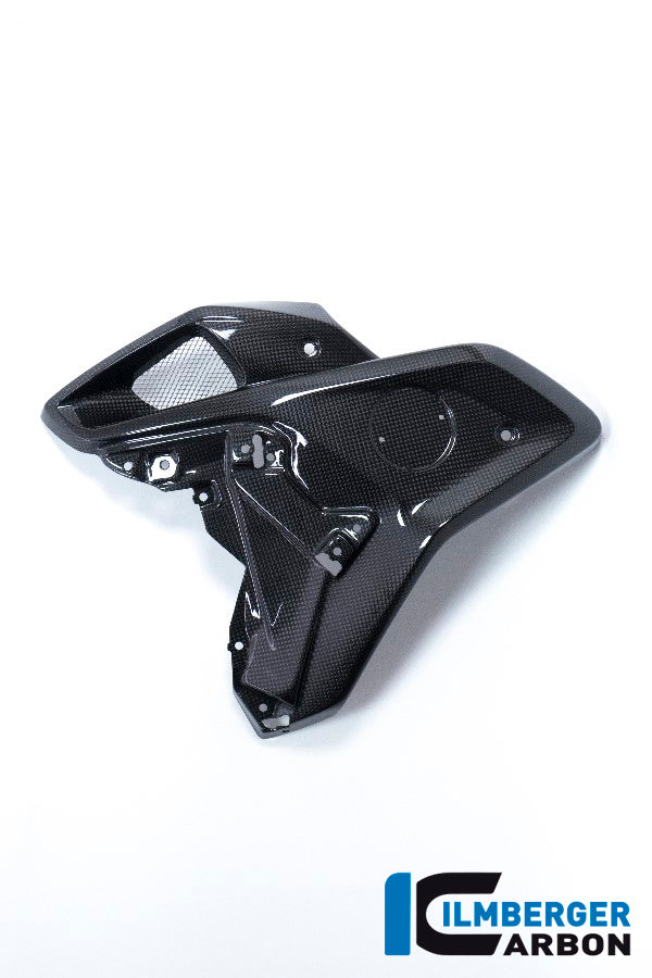 Ilmberger Carbon Airtube Left Side BMW R 1200 GS MY From 2017