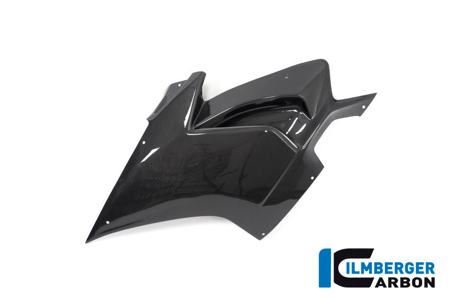 Ilmberger Carbon Fairing Side Panel Left Ducati Panigale V4 Racing