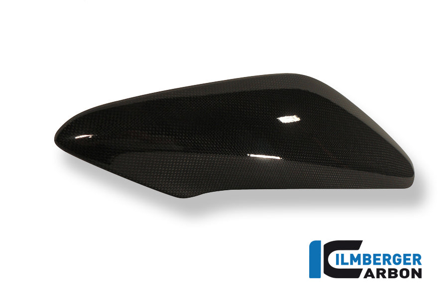 Ilmberger Carbon Side Cover Above The Radiator Right Carbon