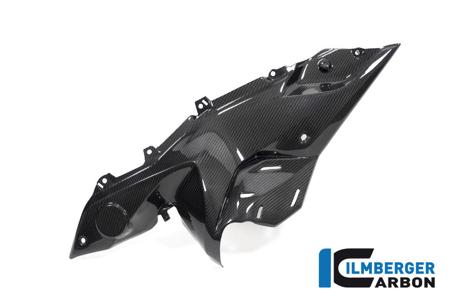 Ilmberger Carbon Side Panel Under The Tank Left Side BMW R 1250 RS