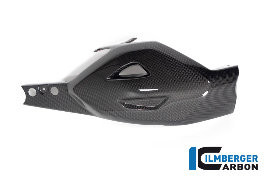 Ilmberger Carbon Swing Arm Cover Ducati Diavel V4 From 2023 - Gloss