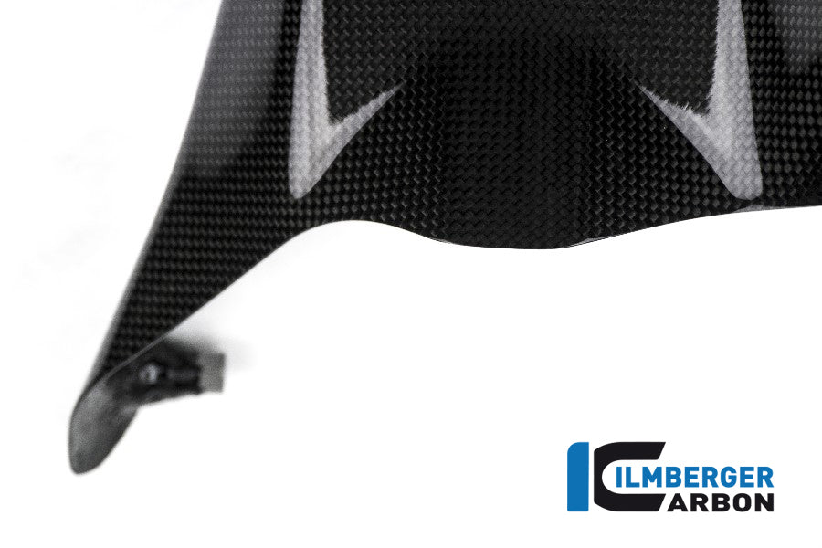Ilmberger Carbon Rear Hugger - Gloss
