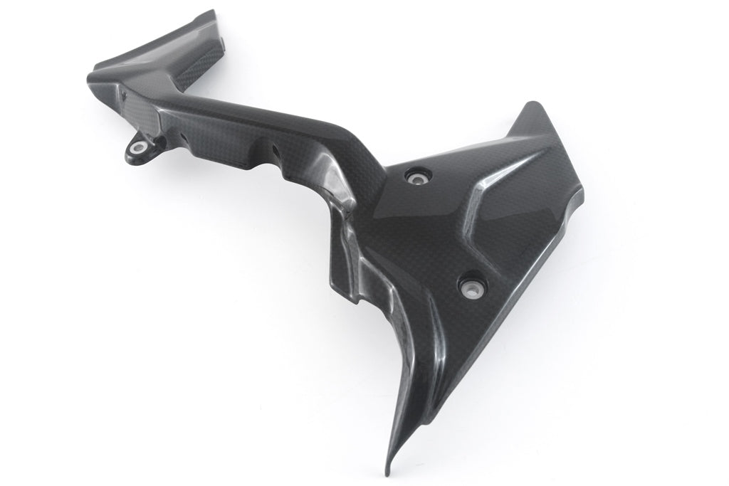 Fullsix Carbon Sprocket Cover