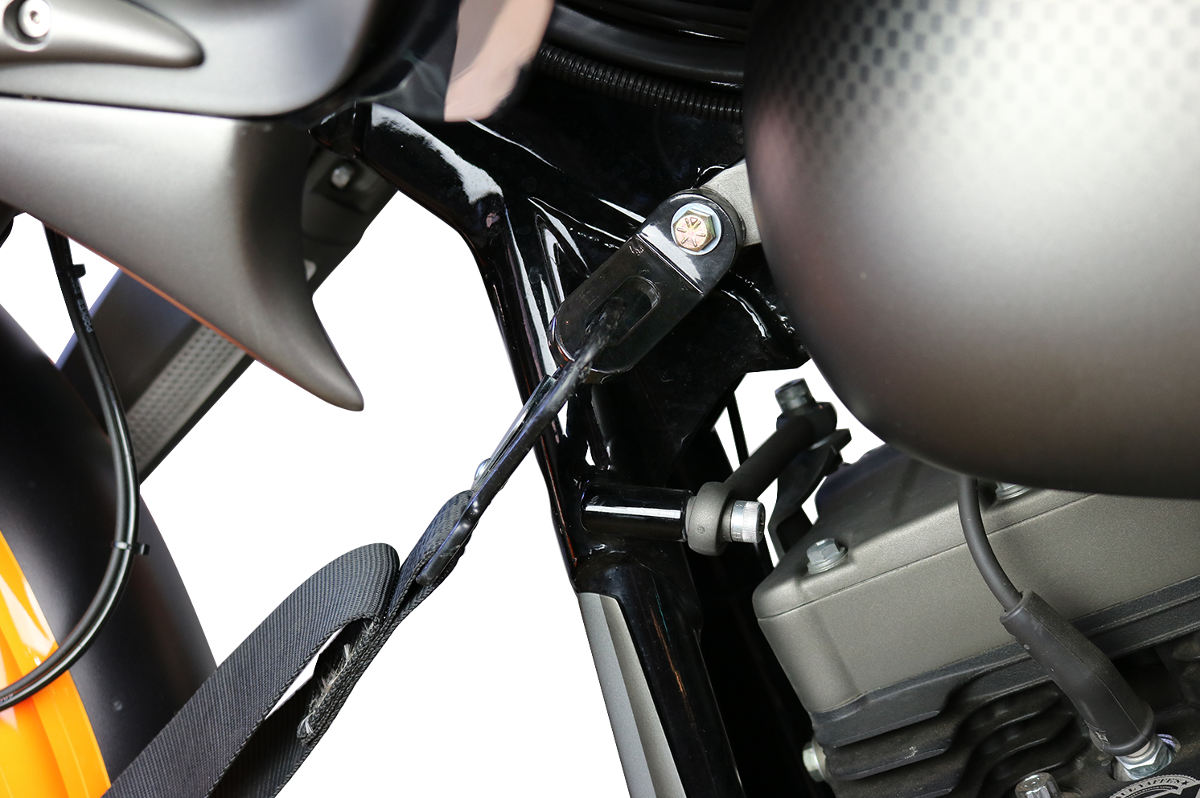 Paul Yaffe Bagger Nation Touchless Tie-Down Ancho