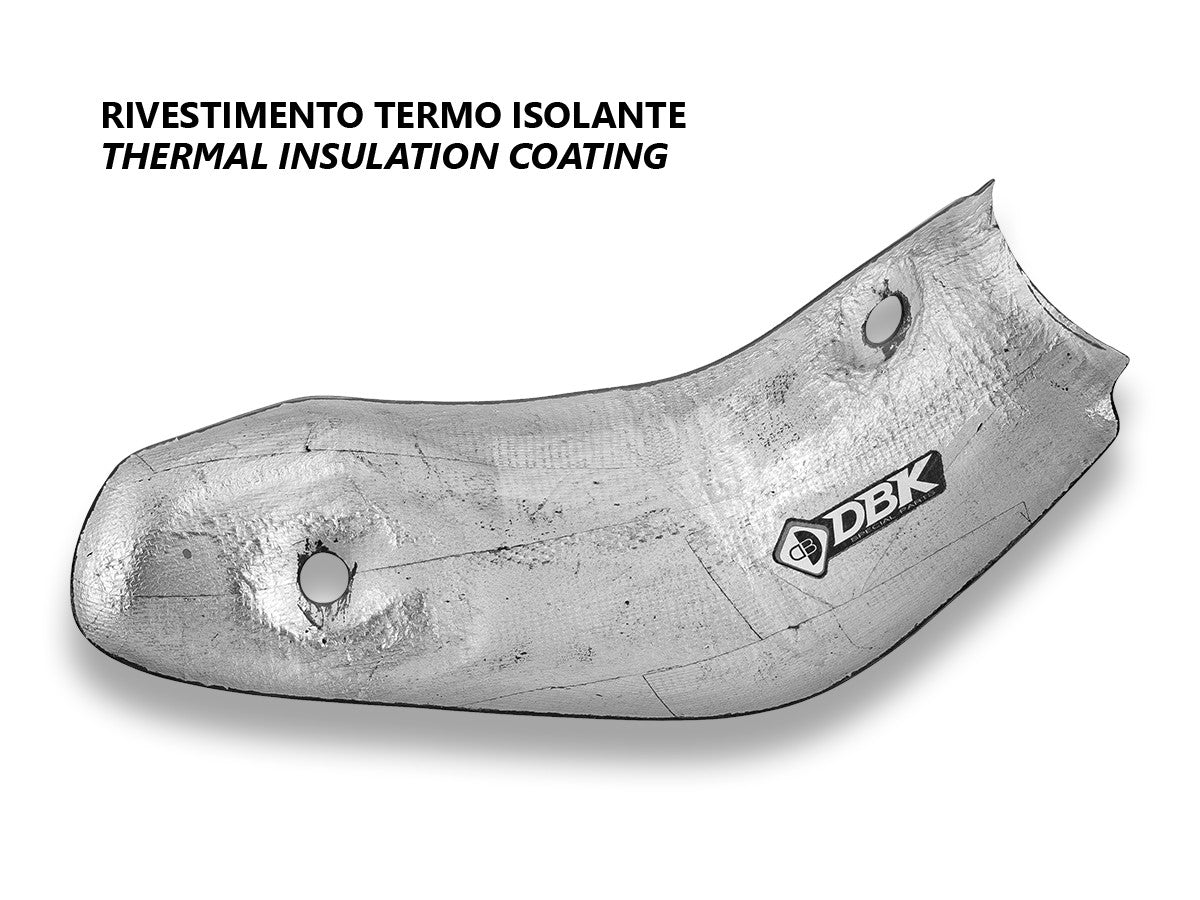 Ducabike DBK CRB208O - MTS V4 Rs Carbon Exhaust Guard