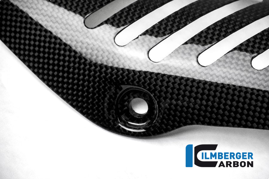 Ilmberger Carbon Exhaust Heat Shield On The Manifold - Gloss / Plain