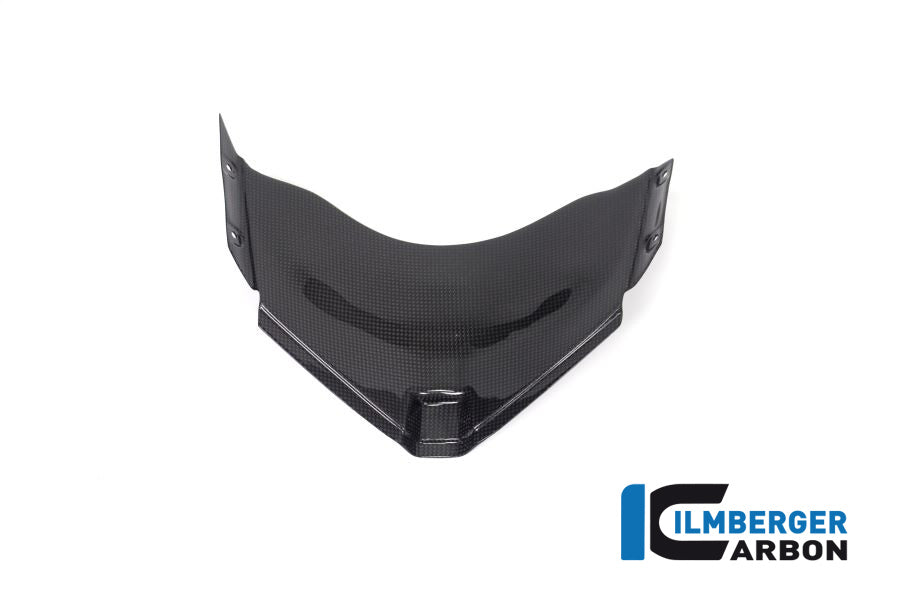 Ilmberger Carbon Panel Under The Front Fairing Ducati Panigale V4 Racing - Gloss