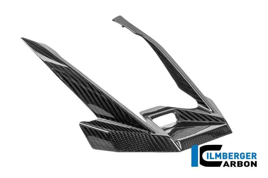 Ilmberger Carbon Beak Extension BMW R 1300 GS Adventure - Gloss / Twill