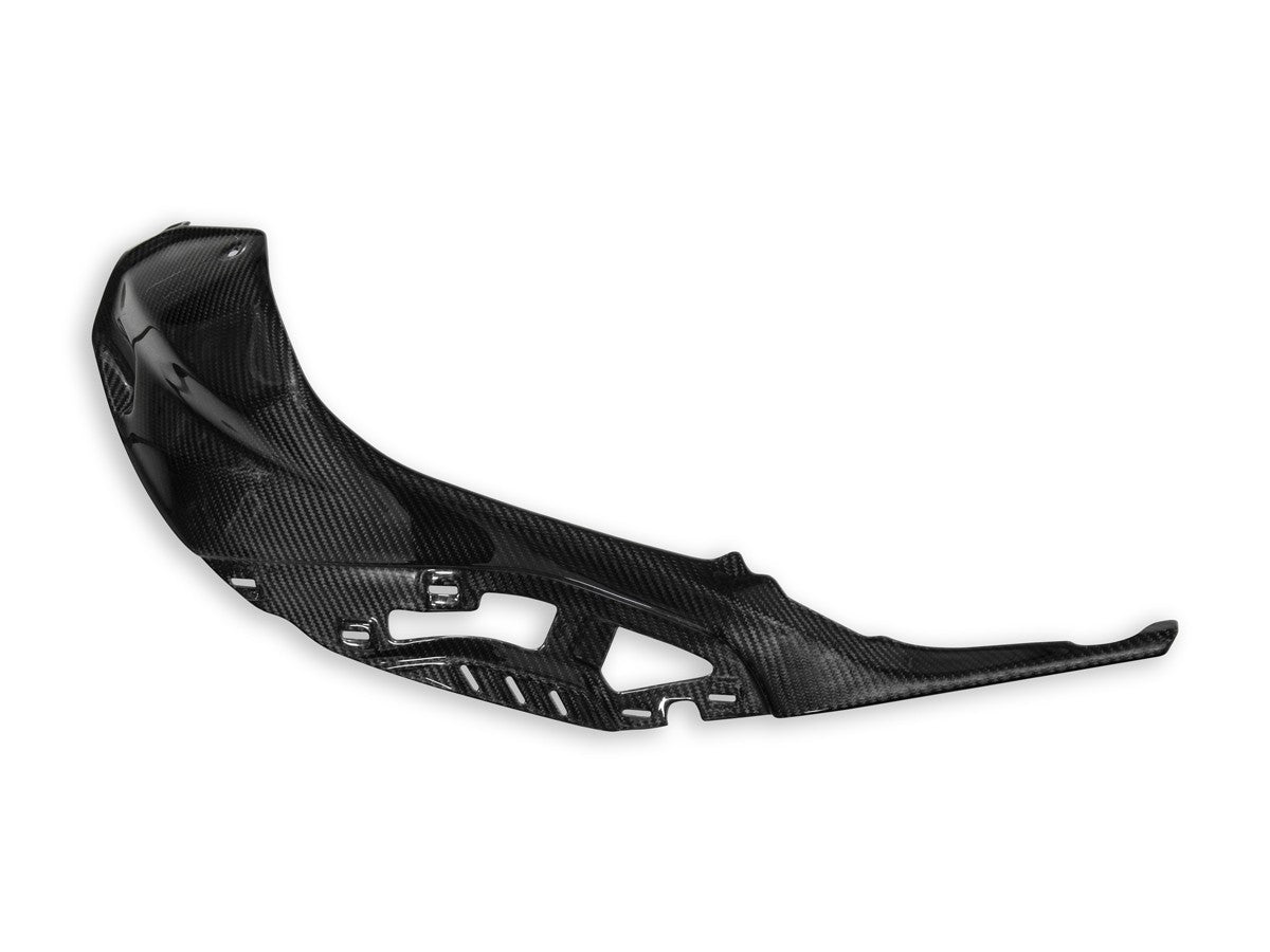 Ducabike DBK CRB138L - BMW S1000r Polished Carbon Tank Cover