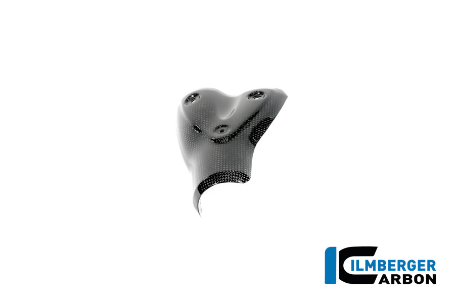 Ilmberger Carbon Exhaust Heat Shield BMW R12 NineT - Gloss / Twill