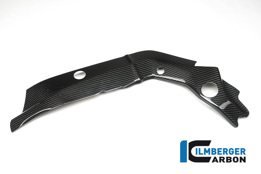Ilmberger Carbon Frame Cover Left BMW S1000 XR Year 2015-2019