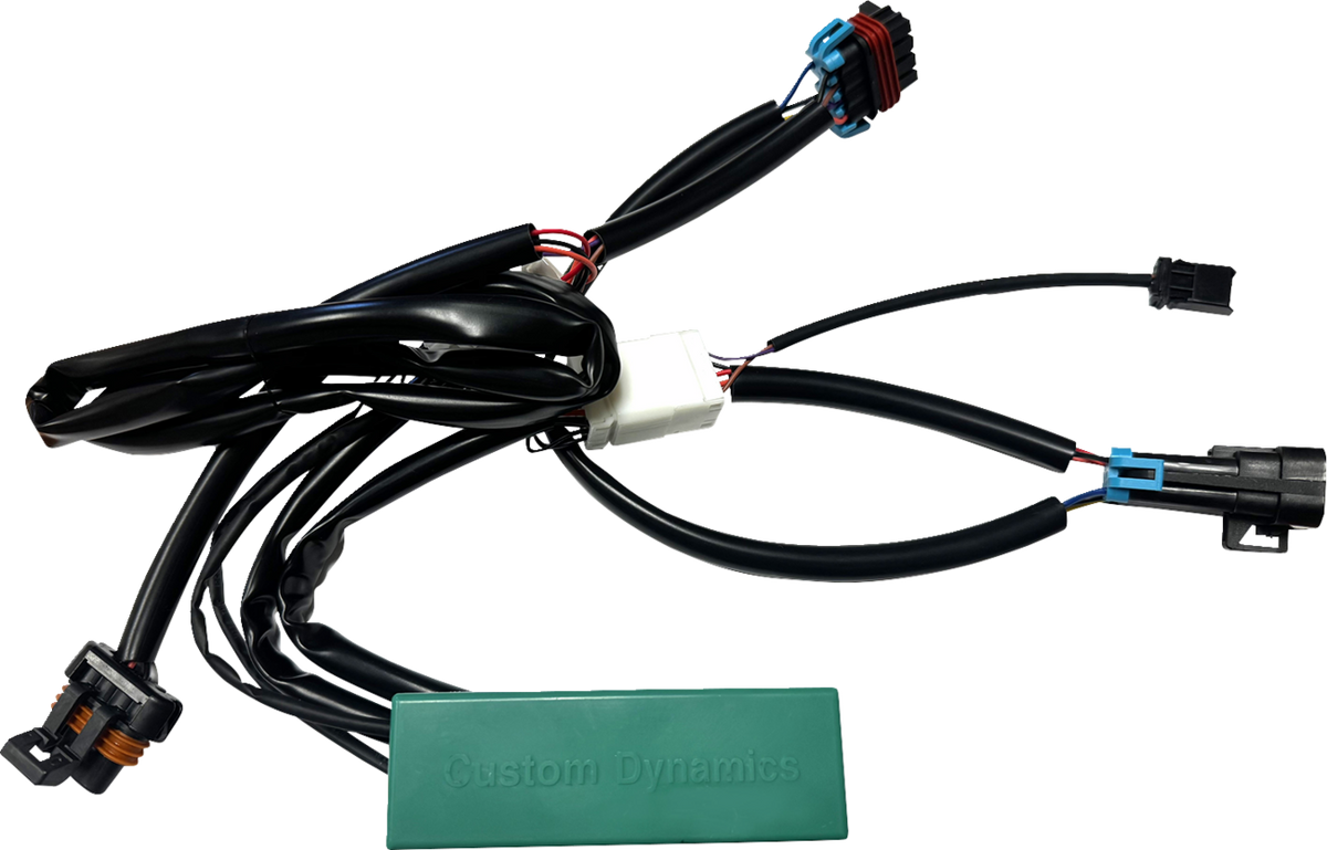 Custom Dynamics SMART Triple Play® Module - RZR