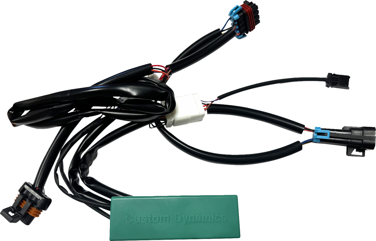 Custom Dynamics SMART Triple Play® Module - RZR
